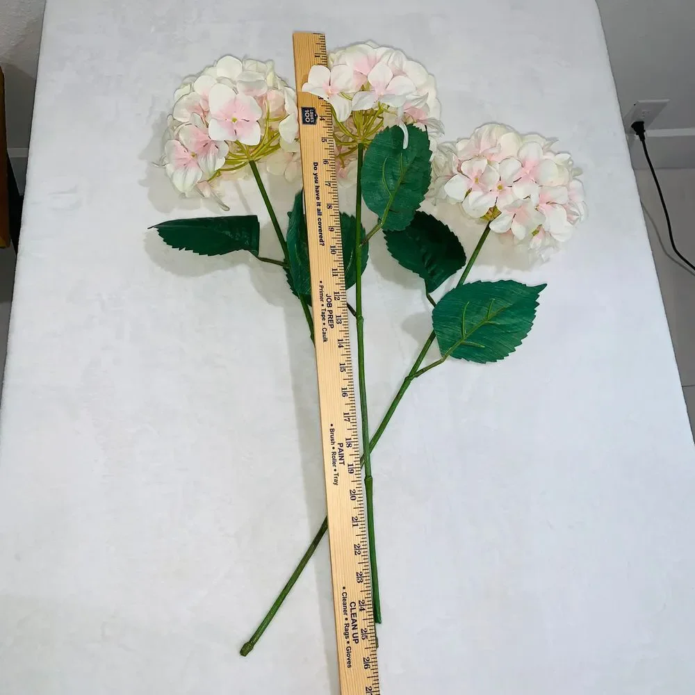 N/A hydrangea three
